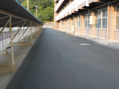 DSCN3941