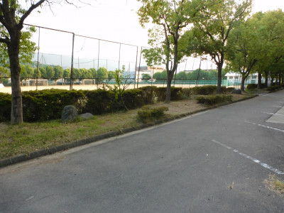 DSCN3943