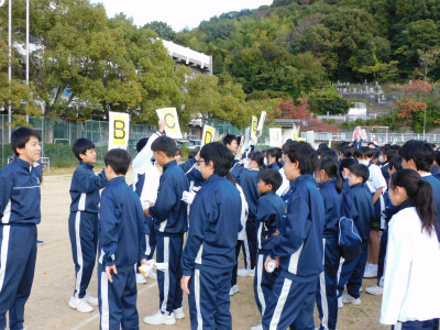 DSCN7265　黄組整列